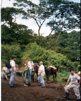costa rica